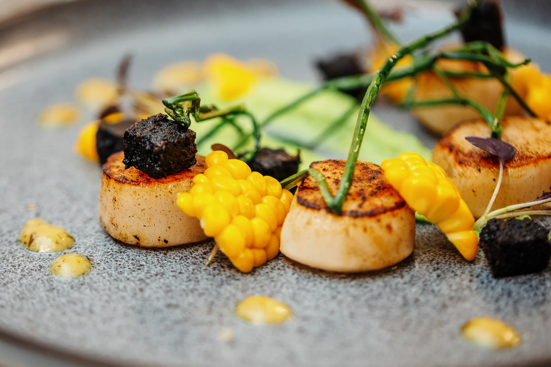 Scallops